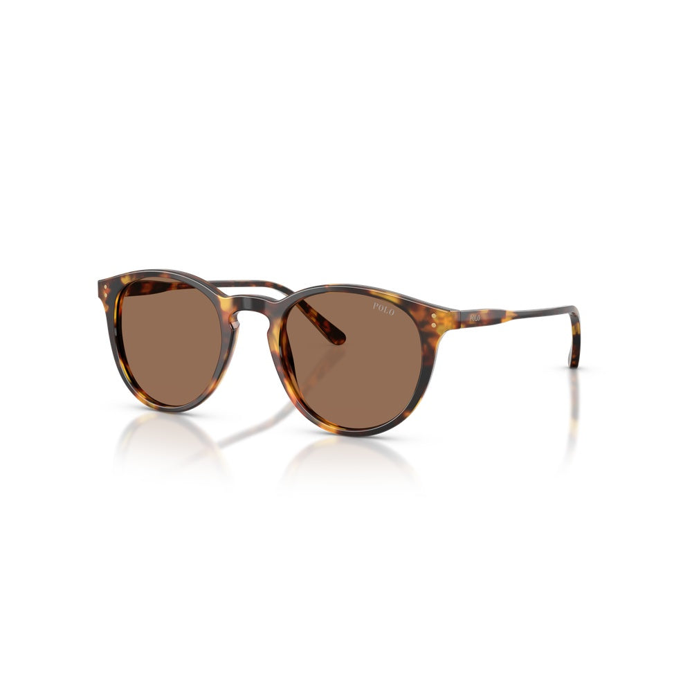 Lunettes de soleil Polo Ralph Lauren PH4110 500373 Écaille Havane - Vue 2
