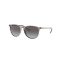 Lunettes de soleil Ray-Ban Erika RB4171 622/8G Noir Mat - Vue 2 (Photo réelle)