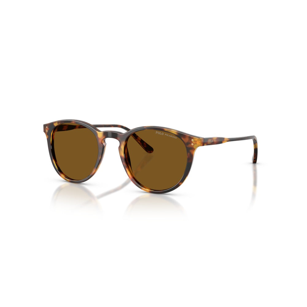 Lunettes de soleil Polo Ralph Lauren PH4110 500373 Écaille Havane - Vue 1